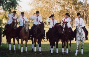 Horse musical ride