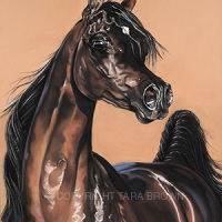 Horse Artist